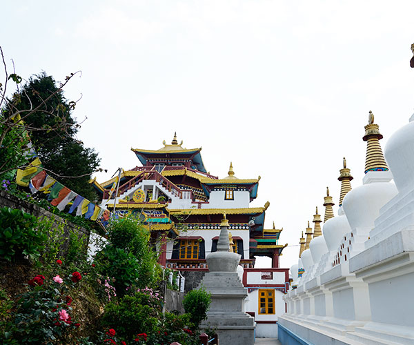 Cultural & Historical Tours